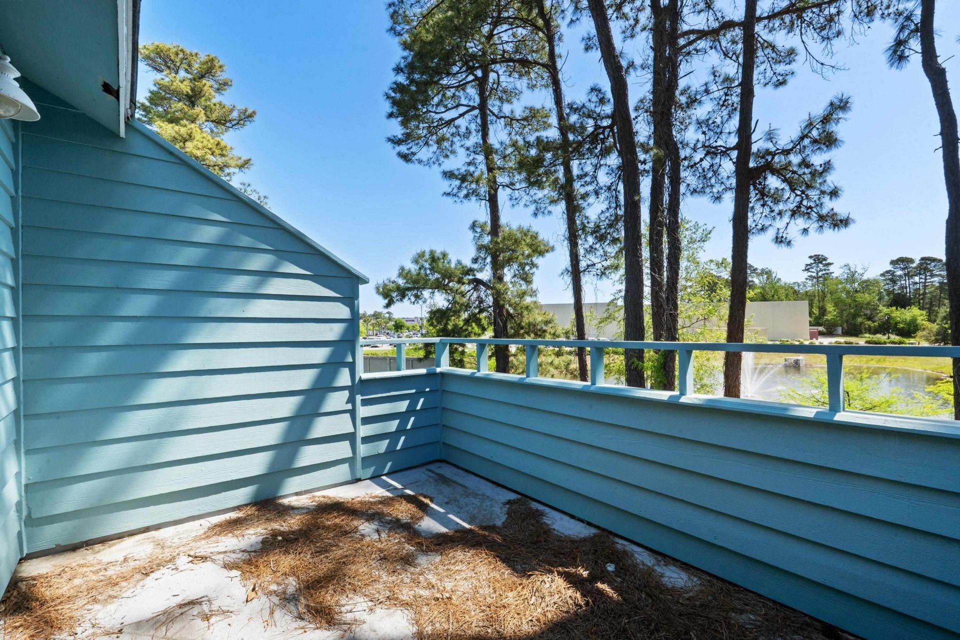 23 Shadow Moss Pl. Photo 41