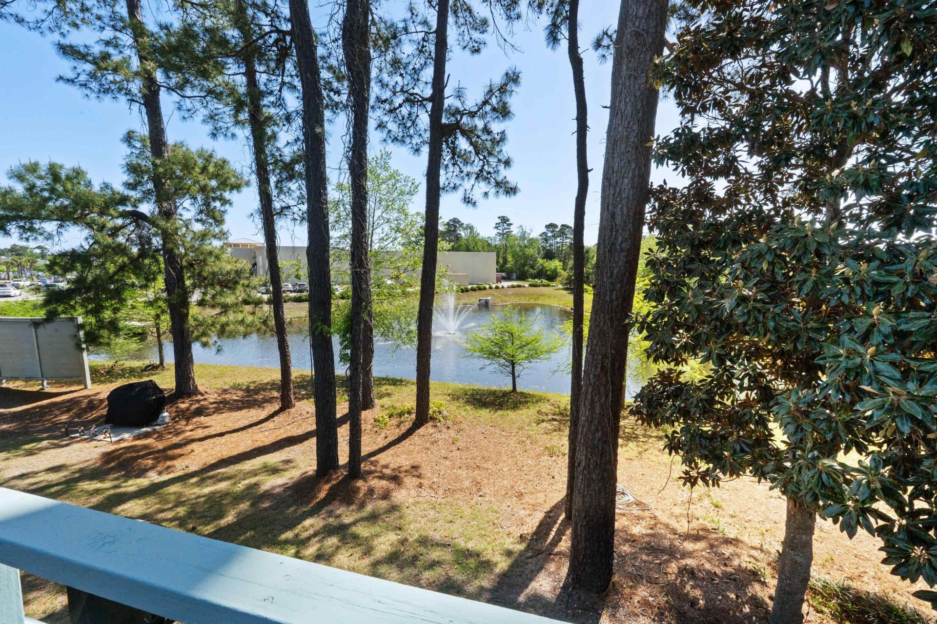 23 Shadow Moss Pl. Photo 42