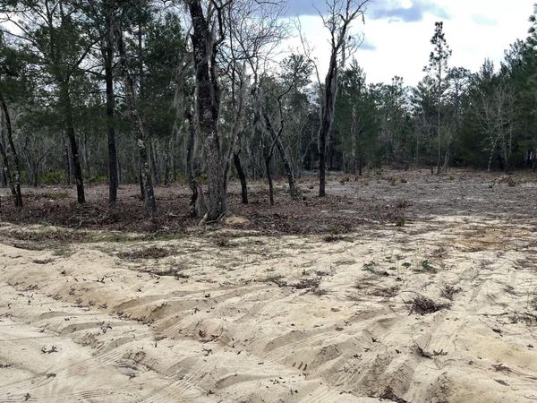 205 LONDON Avenue, Interlachen, FL 32148