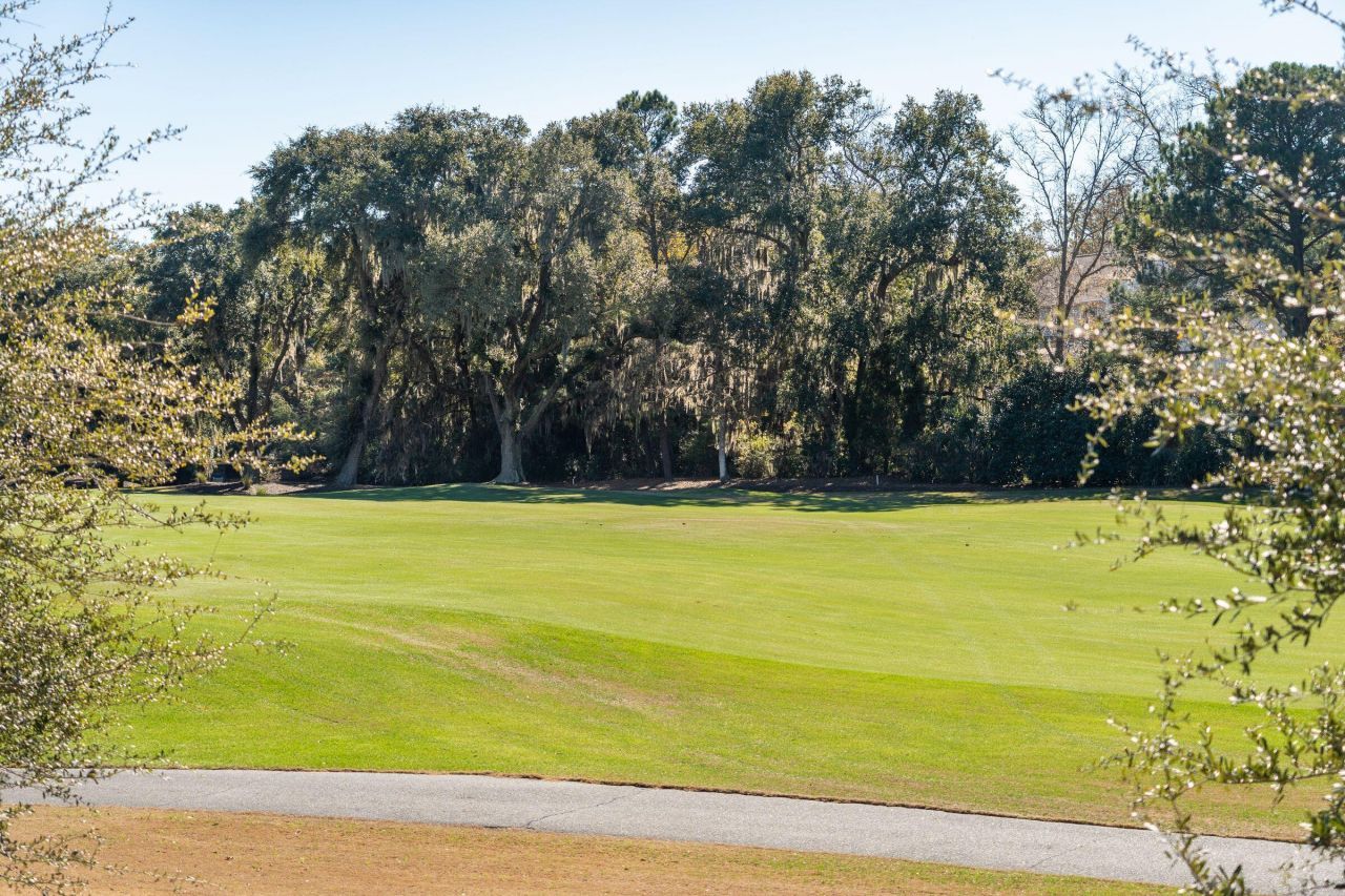 2925 Maritime Forest Drive Photo 43