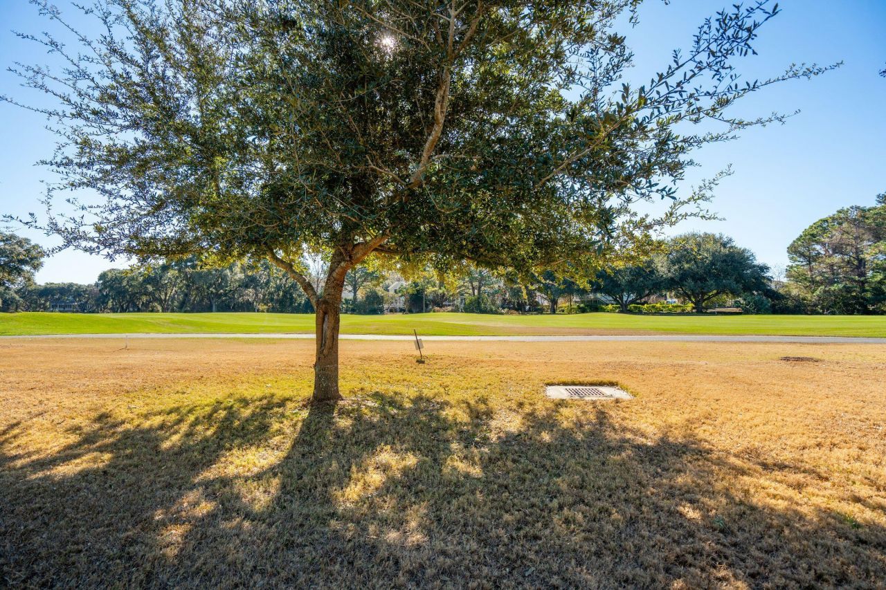 2925 Maritime Forest Drive Photo 45