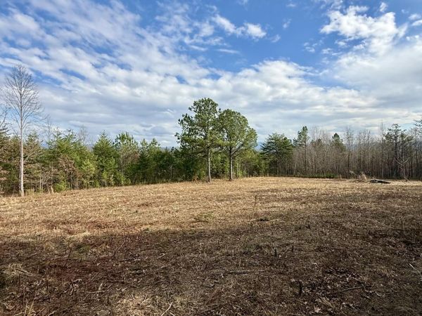 Lots 8 & 9 Curtis Rd, Tellico Plains, TN 37385