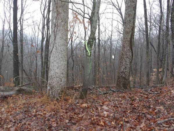 Lots 17&18 Savannah , Smithville, TN 37166