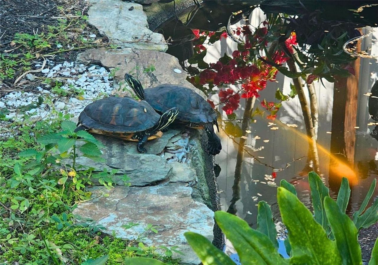 4600 30th Avenue N, Saint Petersburg, FL 33713 Photo