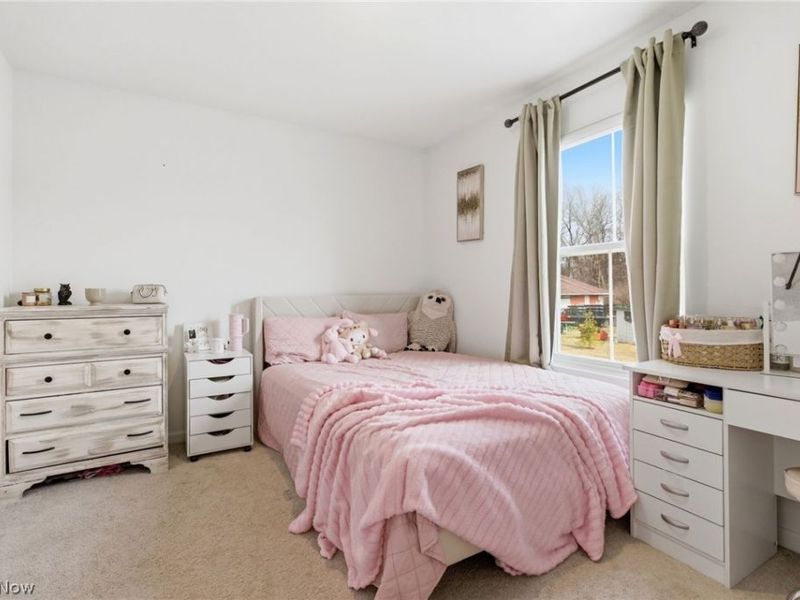 4490 Ashwood Avenue, Perry, OH 44081 Photo 16