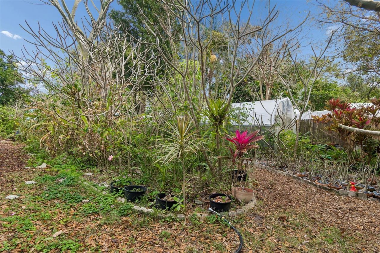 606 Grovewood Lane, Largo, FL 33770 Photo