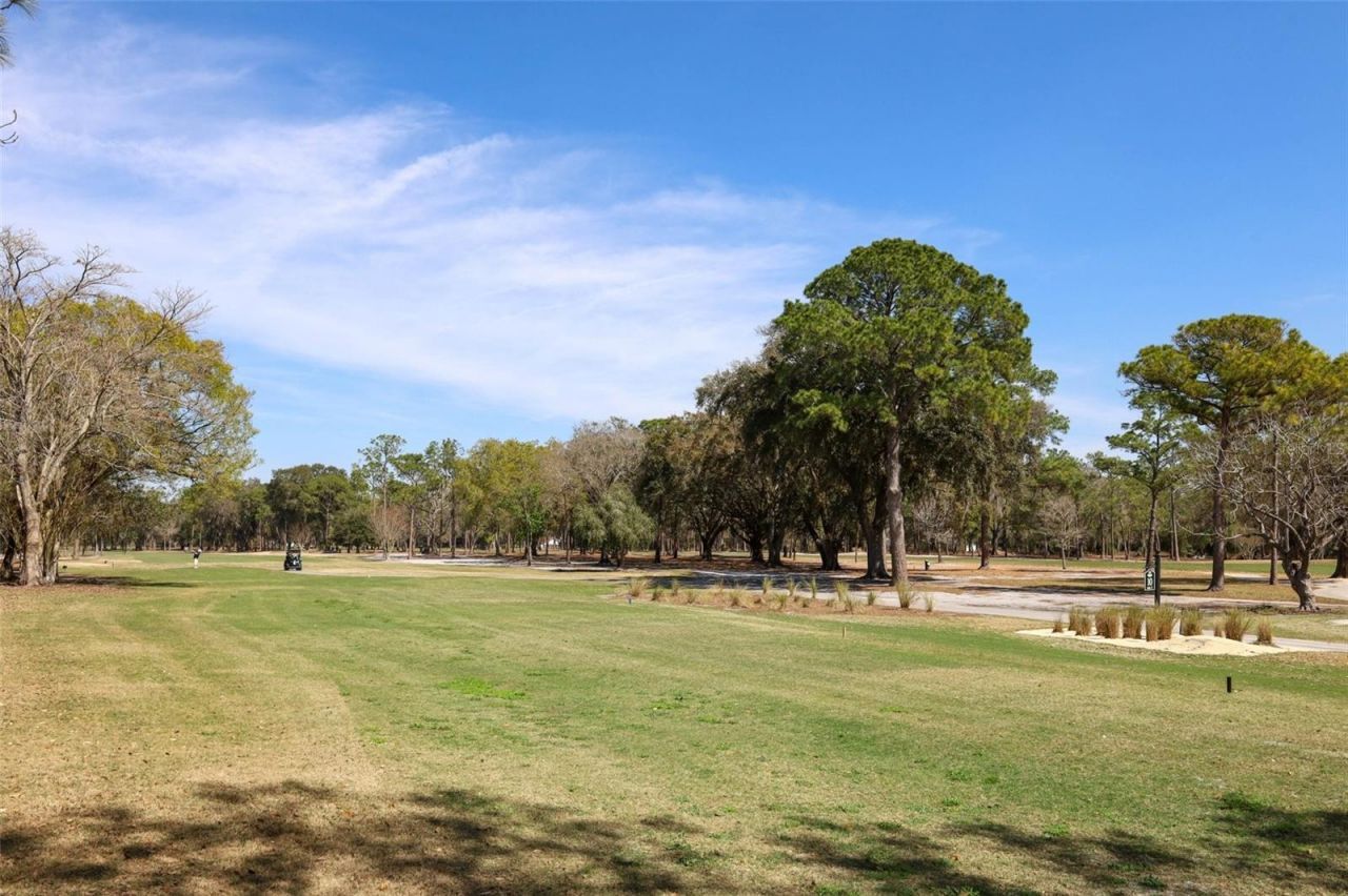 1607 Pinar Drive , Orlando, FL 32825 Photo