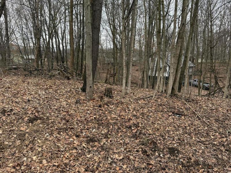 0 Crabapple Drive , Howard, OH 43028 Photo 2