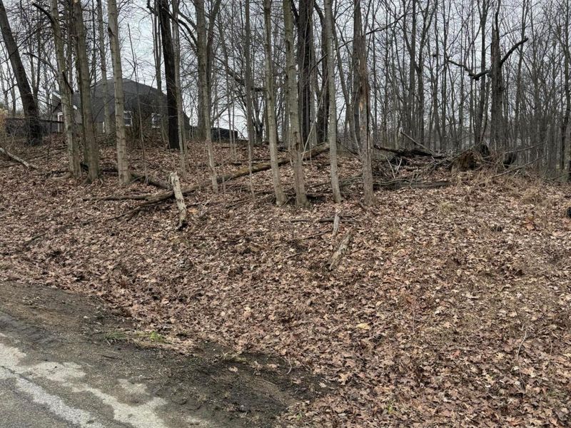 0 Crabapple Drive , Howard, OH 43028 Photo 3