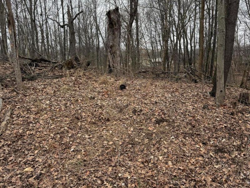 0 Crabapple Drive , Howard, OH 43028 Photo 4