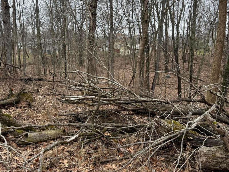 0 Crabapple Drive , Howard, OH 43028 Photo 5