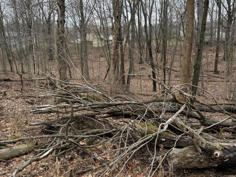 0 Crabapple Drive , Howard, OH 43028 Photo 6