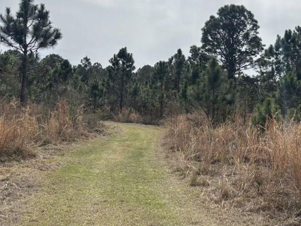 0 Old Grade Rd, Polk City, FL 33868