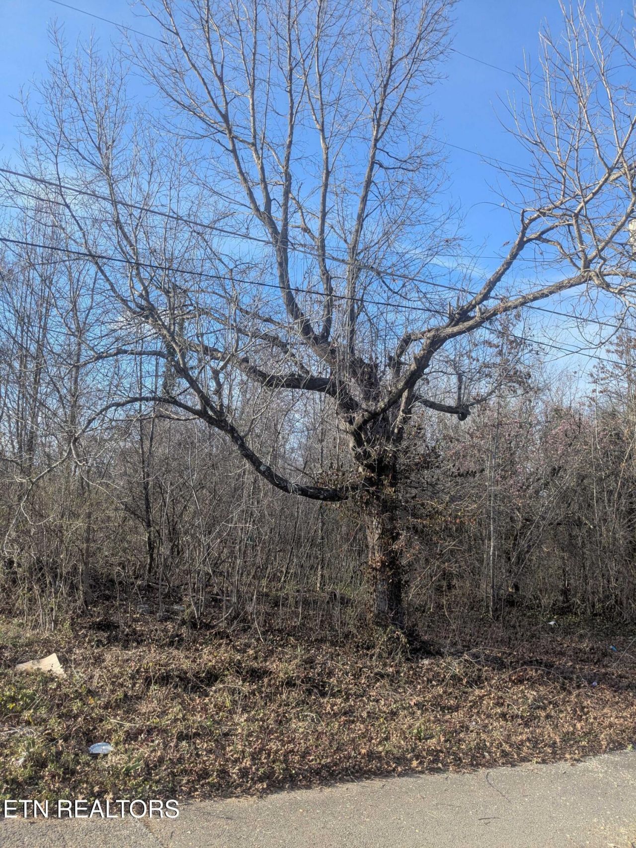 1425 Lewis Ave, Knoxville, TN 37920 Main Photo