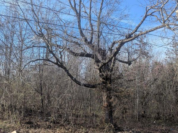 1425 Lewis Ave, Knoxville, TN 37920