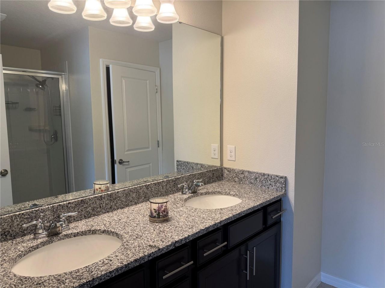 2228 Gopher Tortoise Terrace, Oakland, FL 34787 Photo