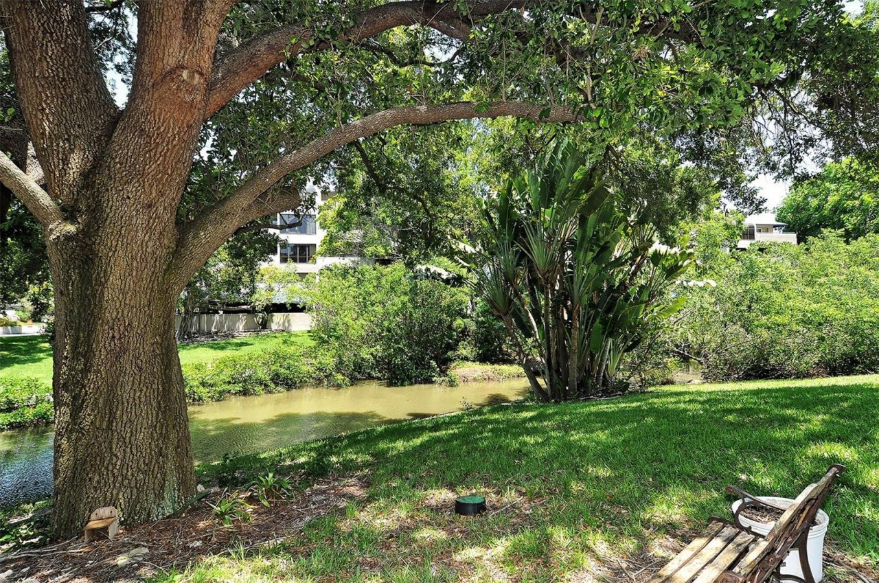 825 S Osprey Avenue, Unit 108, Sarasota, FL 34236 Photo