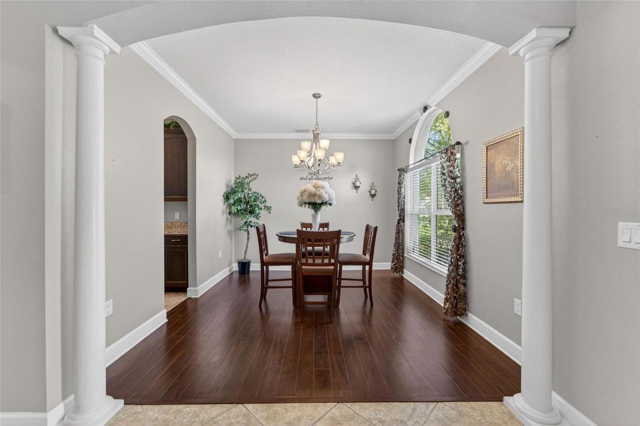 627 Limona Woods Drive, Brandon, FL 33510 Photo