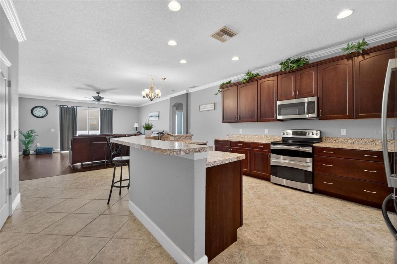 627 Limona Woods Drive, Brandon, FL 33510 Photo