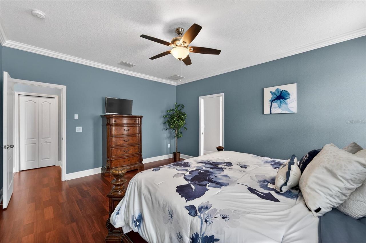 627 Limona Woods Drive, Brandon, FL 33510 Photo