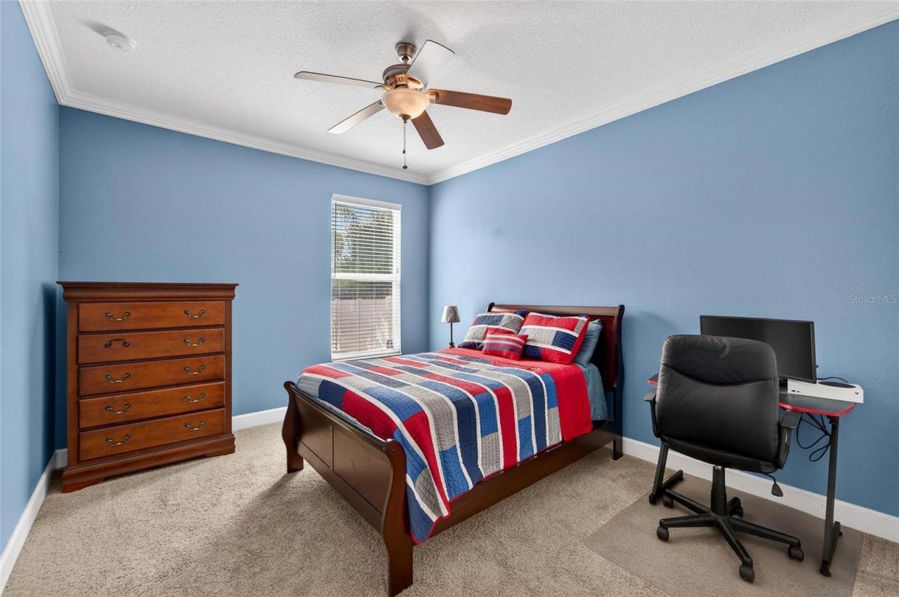 627 Limona Woods Drive , Brandon, FL 33510 Photo