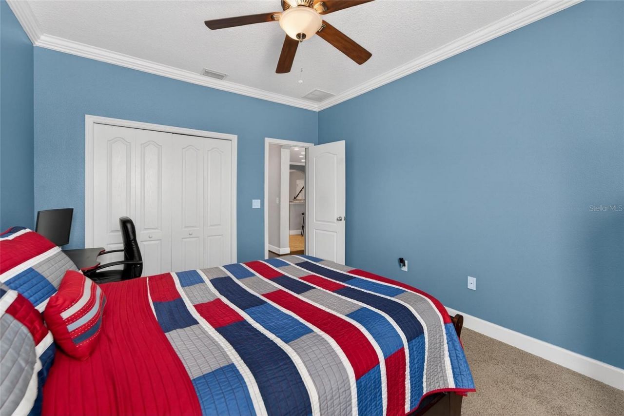 627 Limona Woods Drive, Brandon, FL 33510 Photo