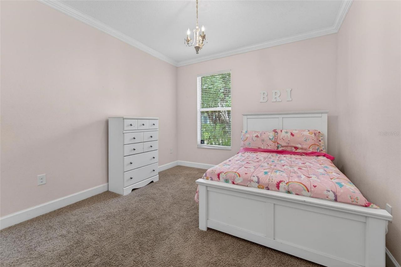 627 Limona Woods Drive , Brandon, FL 33510 Photo