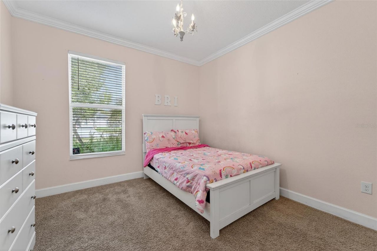 627 Limona Woods Drive, Brandon, FL 33510 Photo