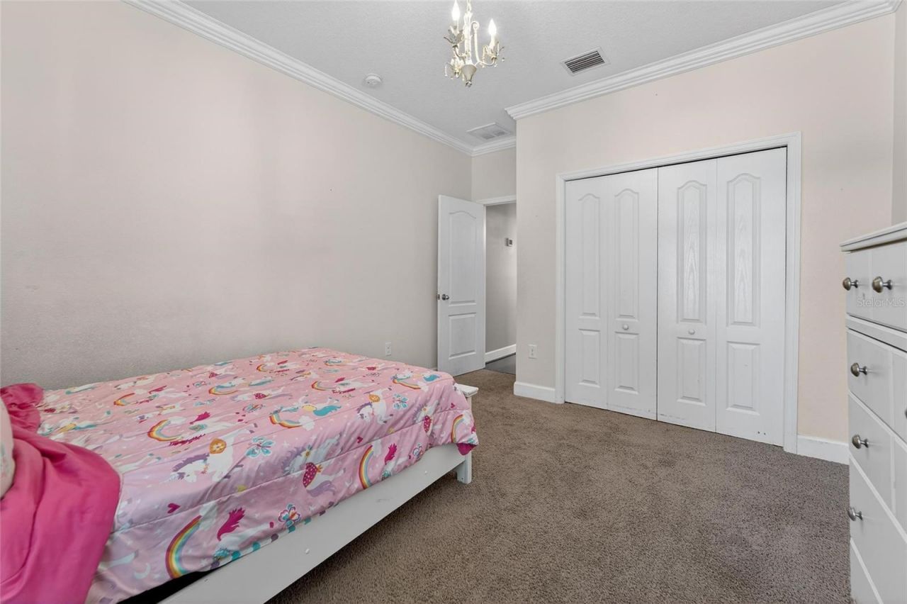 627 Limona Woods Drive, Brandon, FL 33510 Photo