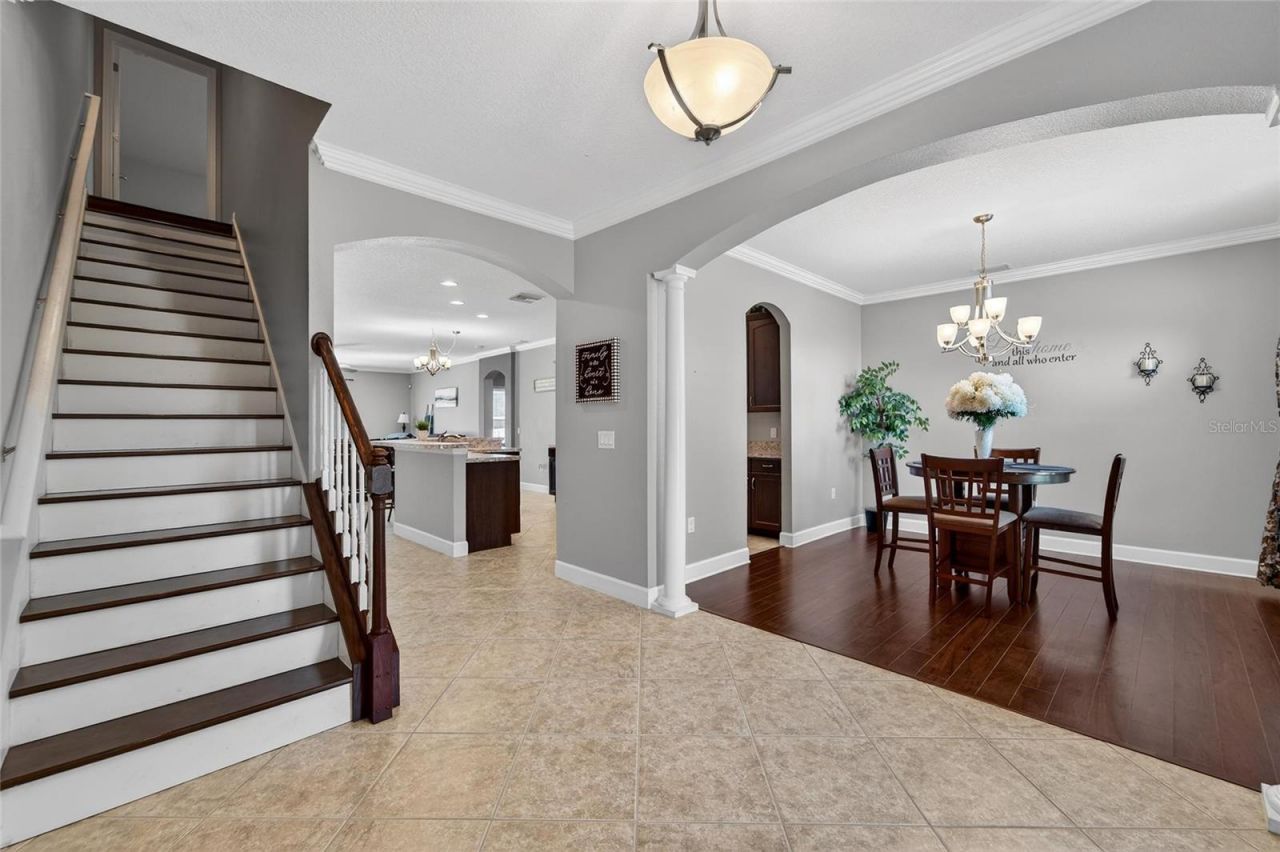 627 Limona Woods Drive, Brandon, FL 33510 Photo