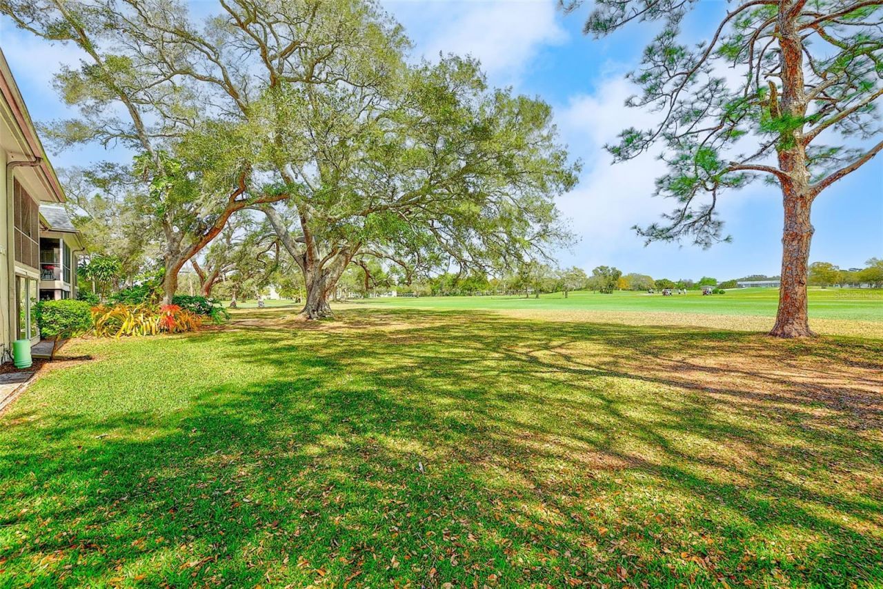 38 Country Club Drive, Unit 38, Largo, FL 33771 Photo