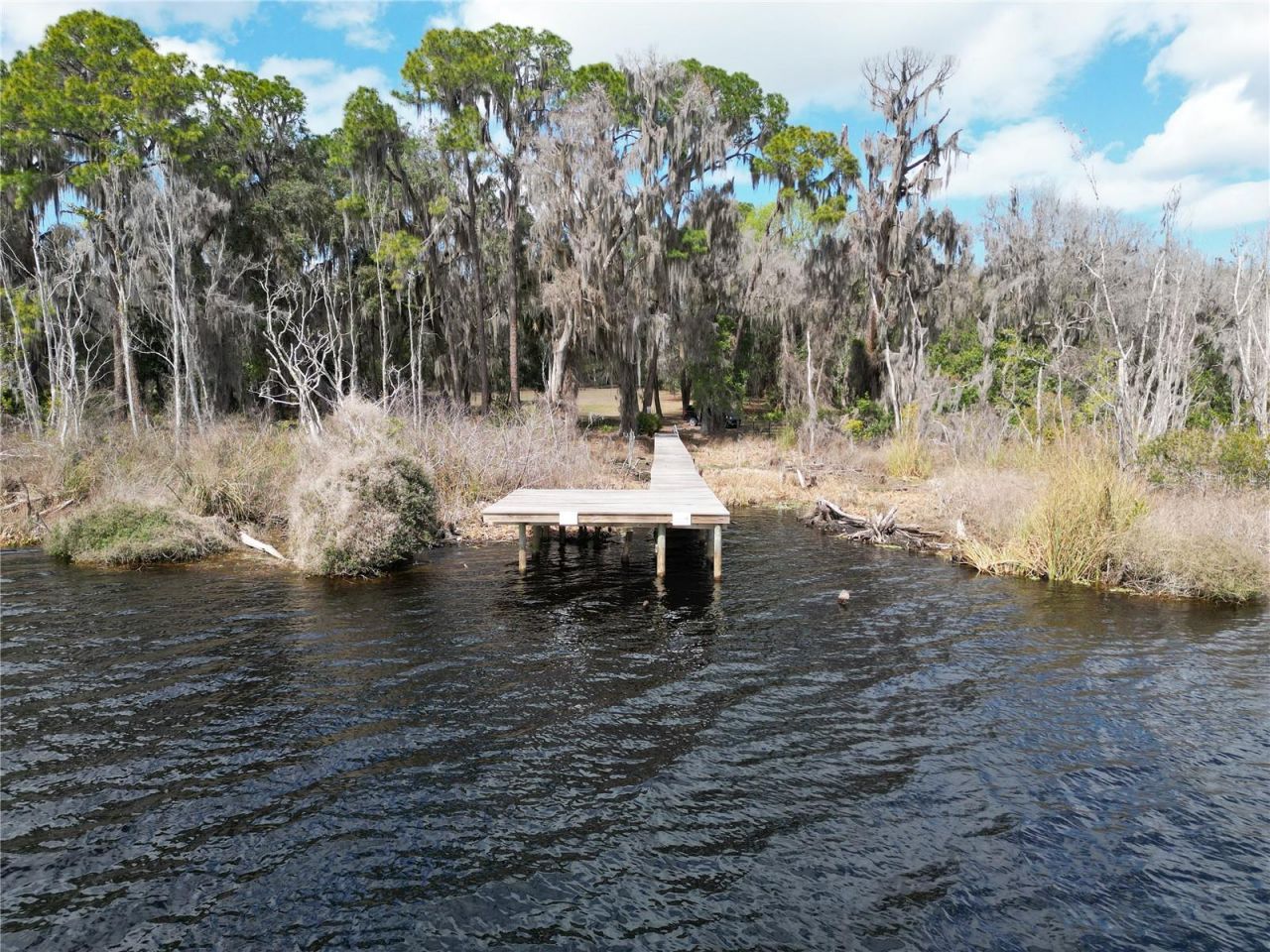 17830 NE 49th Street Road, Silver Springs, FL 34488 Photo