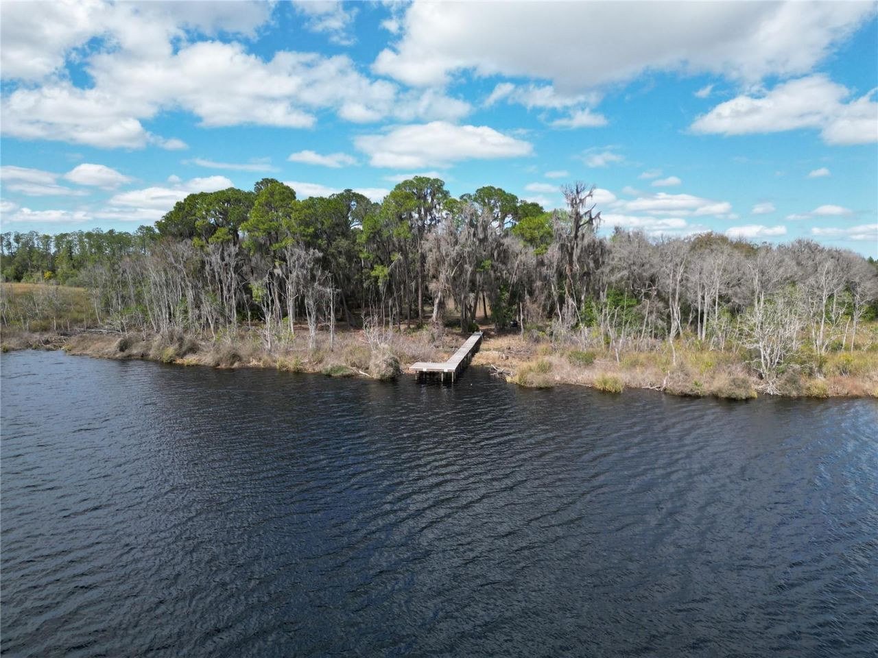 17830 NE 49th Street Road, Silver Springs, FL 34488 Photo