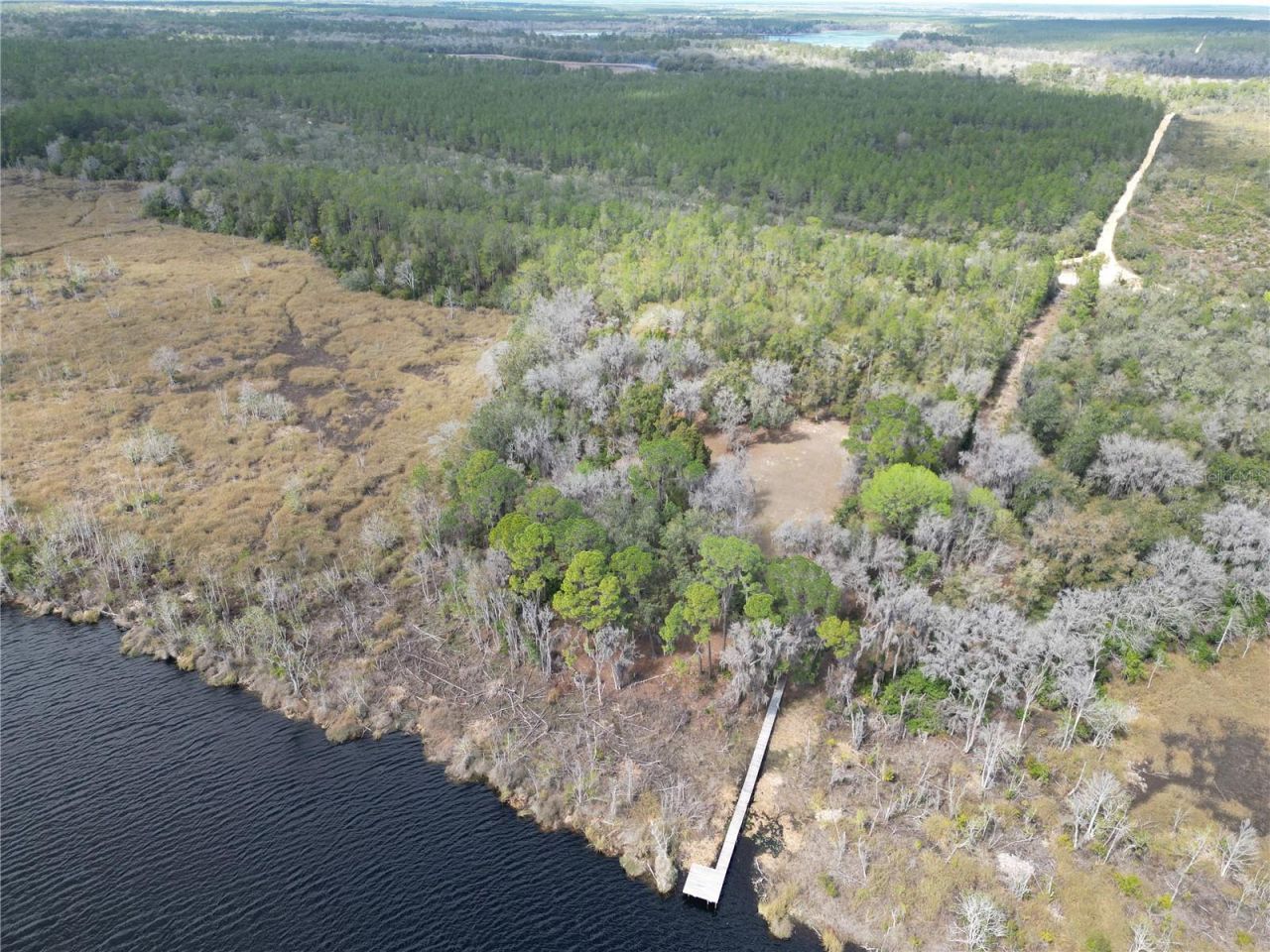 17830 NE 49th Street Road, Silver Springs, FL 34488 Photo