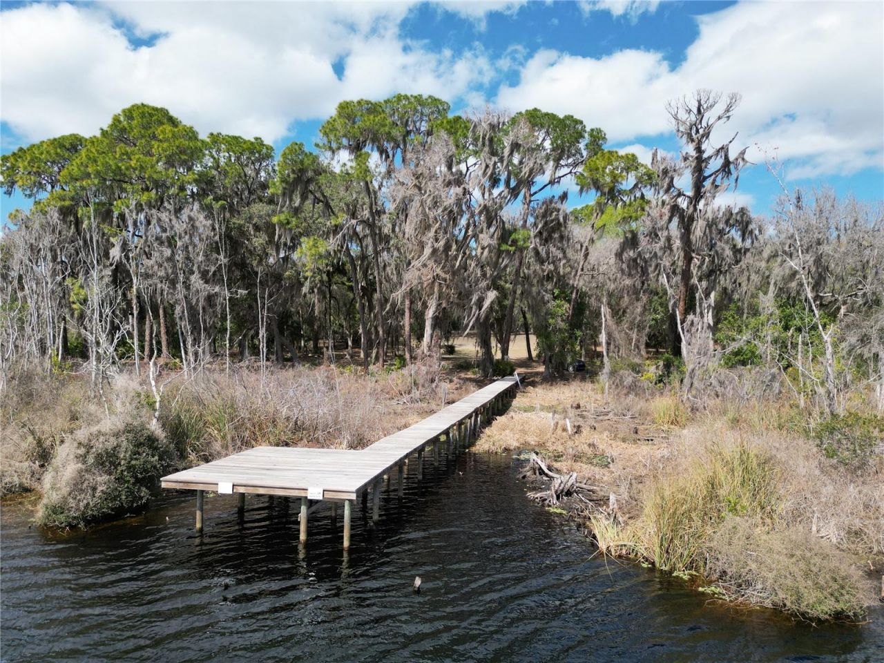 17830 NE 49th Street Road, Silver Springs, FL 34488 Photo
