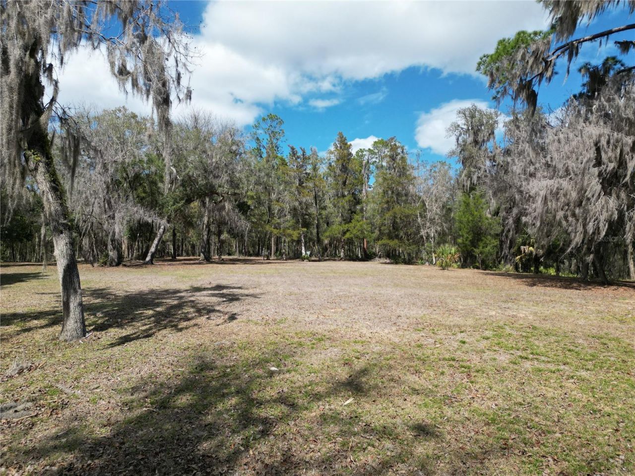 17830 NE 49th Street Road, Silver Springs, FL 34488 Photo