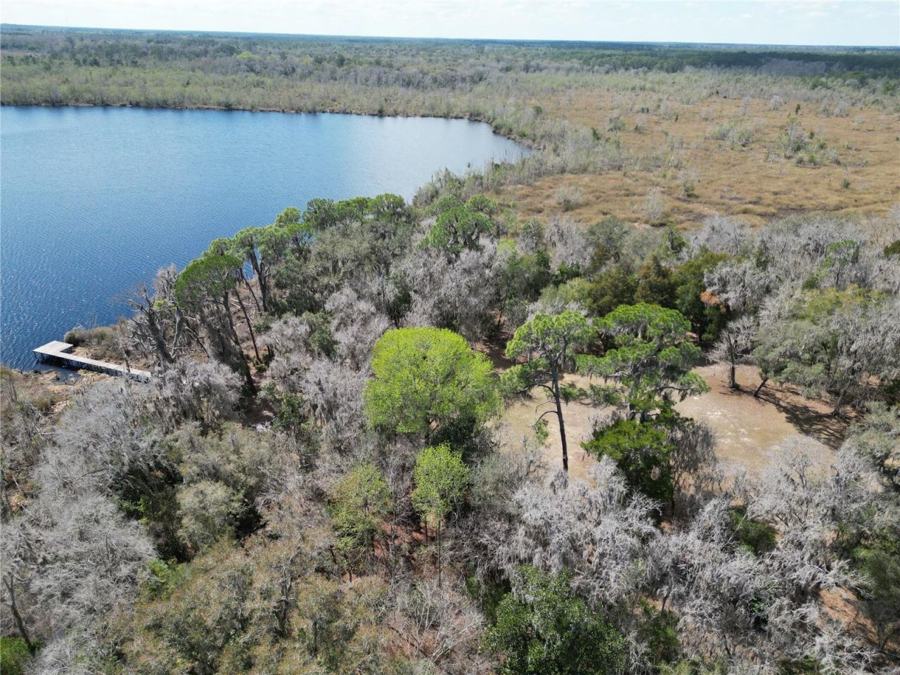 17830 NE 49th Street Road, Silver Springs, FL 34488 Photo