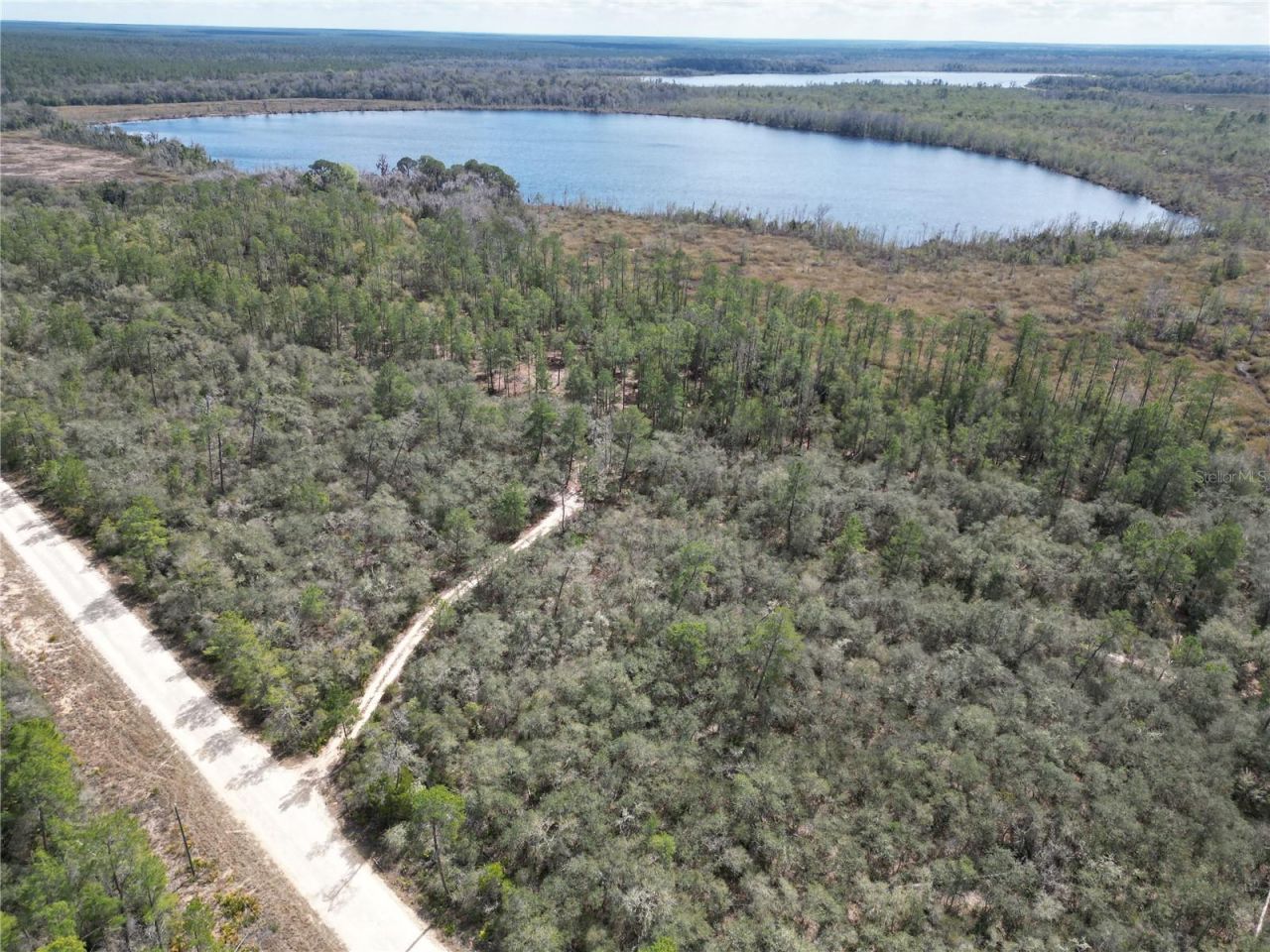 17830 NE 49th Street Road, Silver Springs, FL 34488 Photo