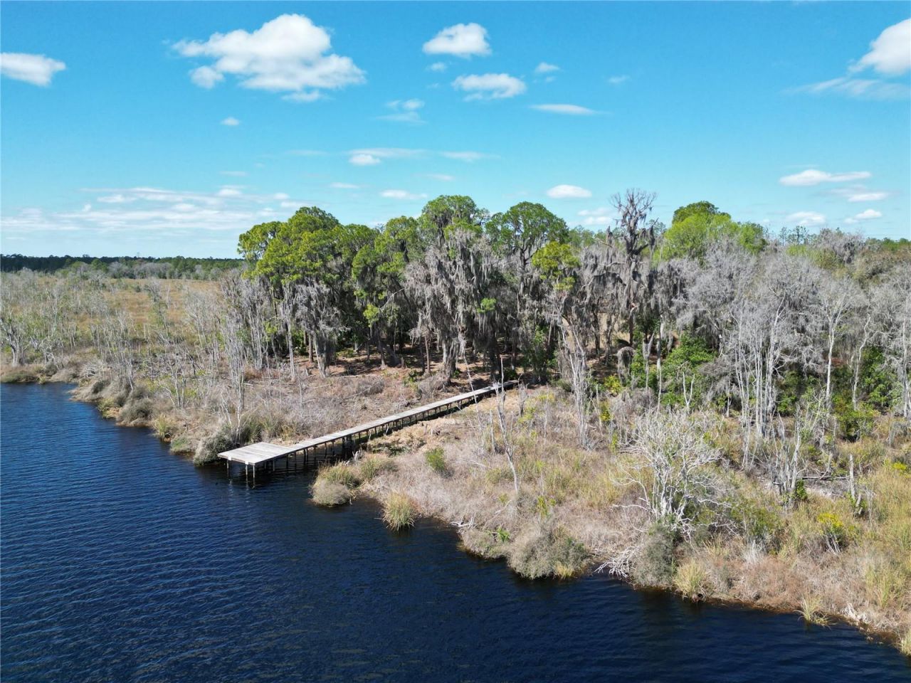 17830 NE 49th Street Road, Silver Springs, FL 34488 Photo