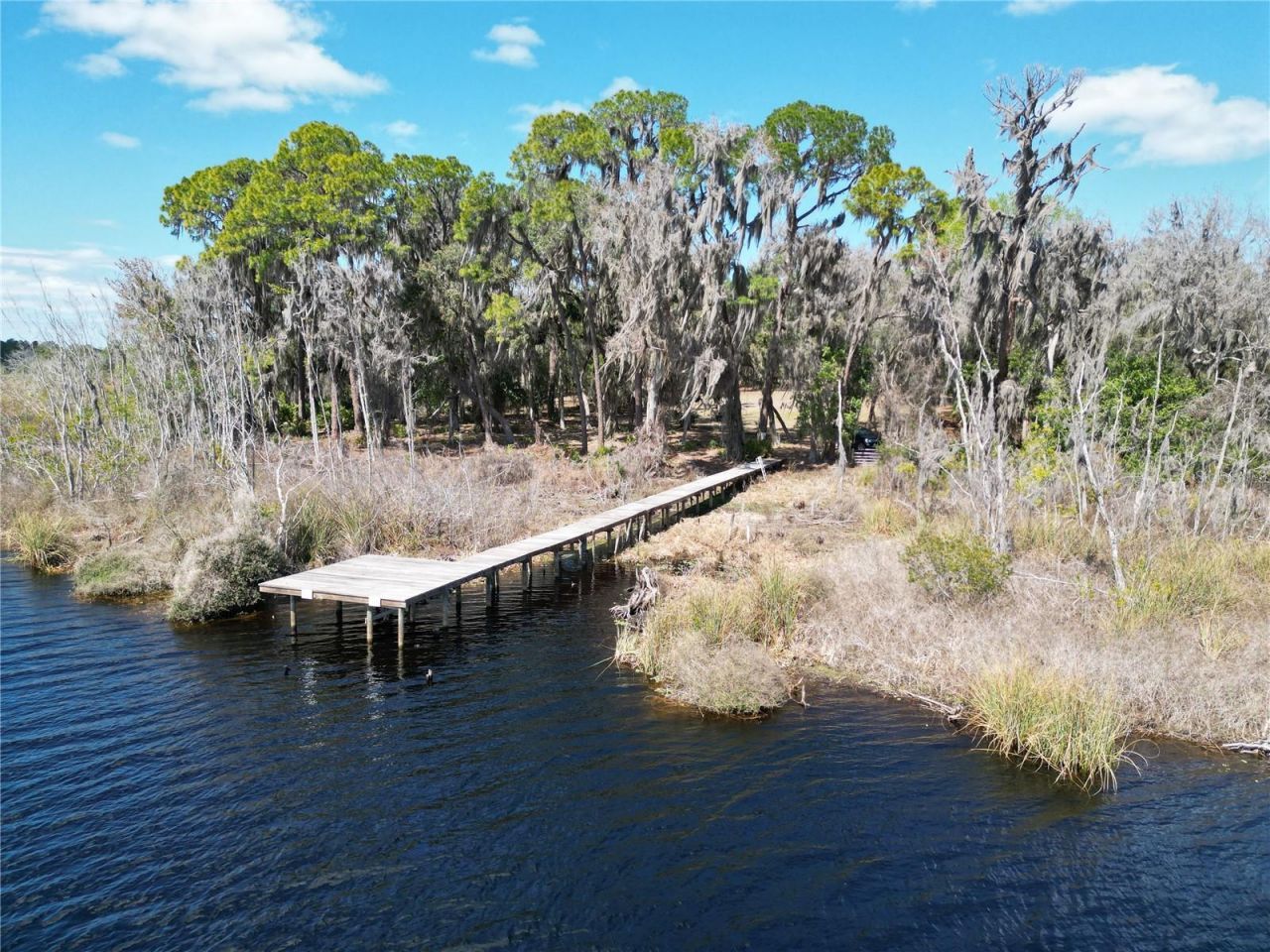 17830 NE 49th Street Road, Silver Springs, FL 34488 Photo
