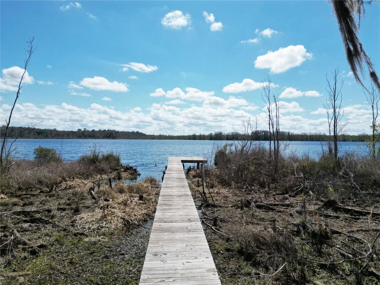 17830 NE 49th Street Road, Silver Springs, FL 34488 Photo