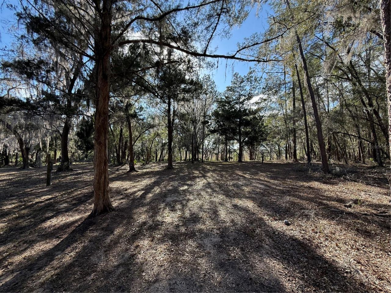 17830 NE 49th Street Road, Silver Springs, FL 34488 Photo