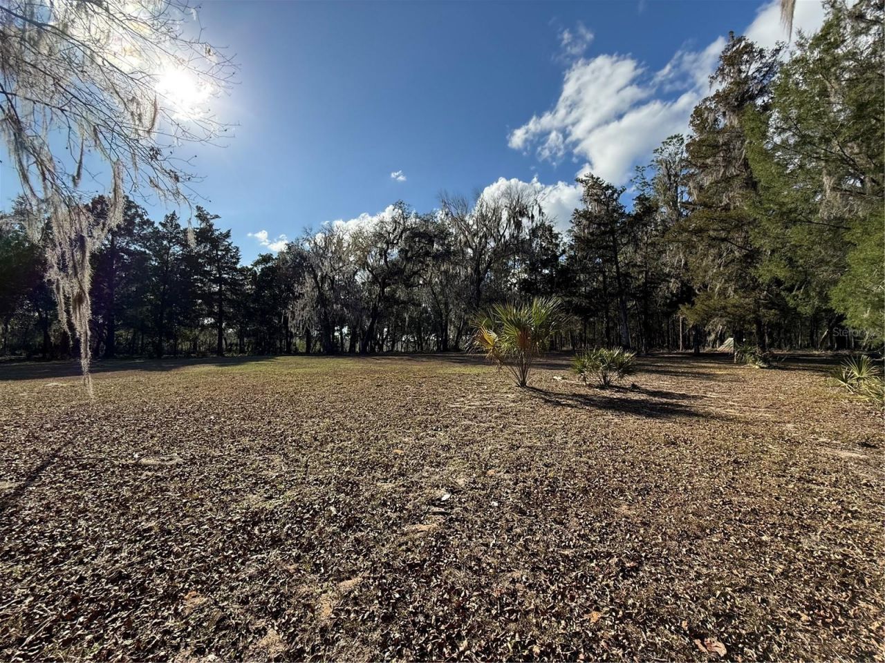 17830 NE 49th Street Road , Silver Springs, FL 34488 Photo