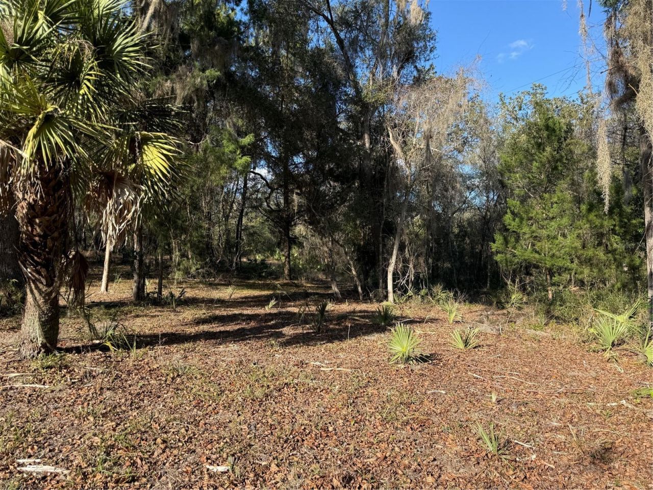 17830 NE 49th Street Road, Silver Springs, FL 34488 Photo
