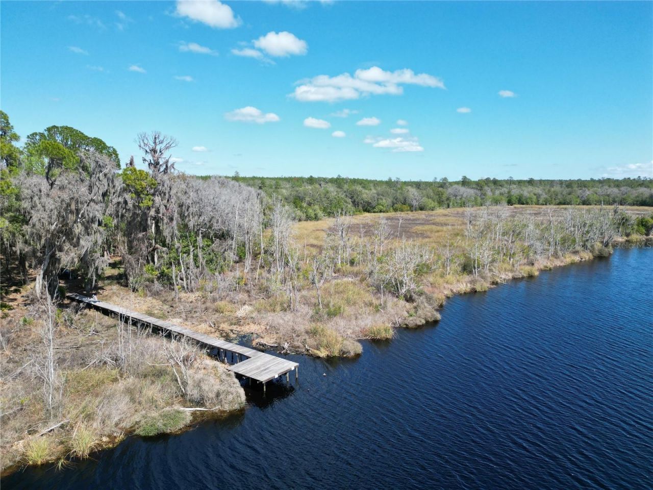 17830 NE 49th Street Road, Silver Springs, FL 34488 Photo