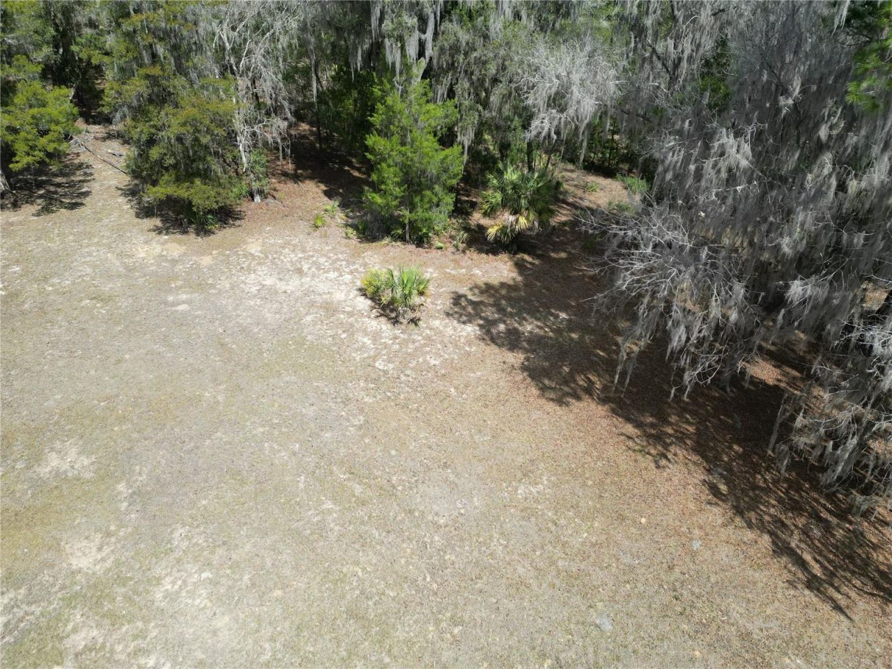 17830 NE 49th Street Road, Silver Springs, FL 34488 Photo