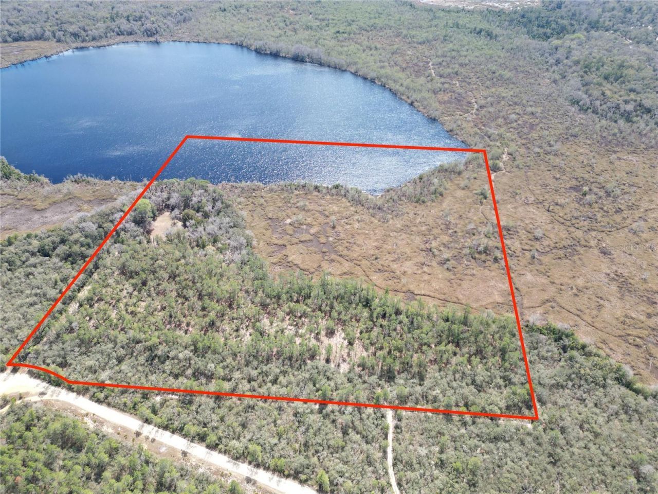 17830 NE 49th Street Road, Silver Springs, FL 34488 Photo