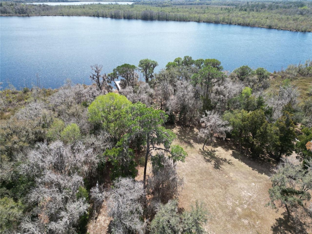 17830 NE 49th Street Road, Silver Springs, FL 34488 Photo
