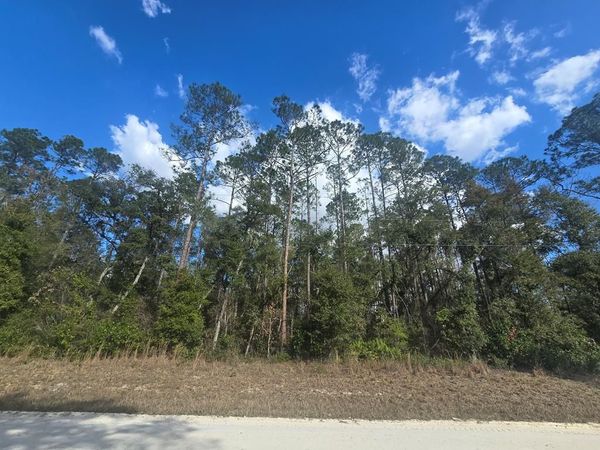 Lot 20 NE 796th St, Old Town, FL 32686