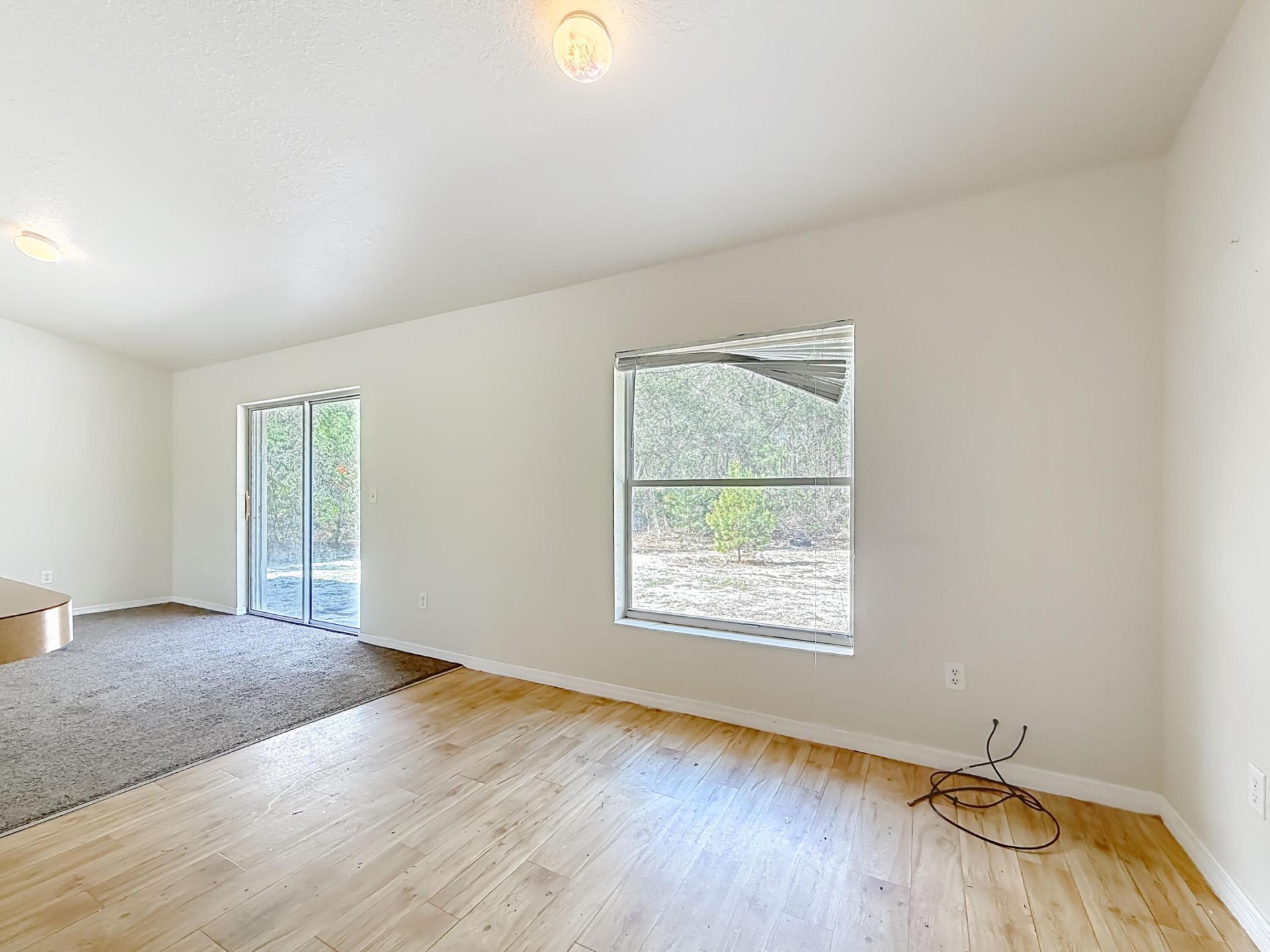 50 Malauka Pass, Ocklawaha, FL 32179 Photo